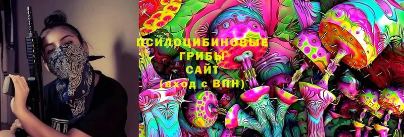 Галлюциногенные грибы Psilocybine cubensis  Кондрово 